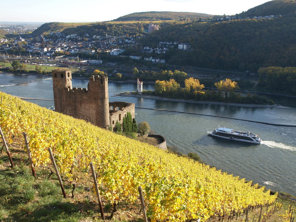 Hotel Lindenwirt Rüdesheim am Rhein Esterno foto